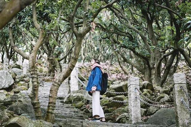深圳值得征服的10座山，你去过几座？