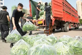 荆州公安自购数万斤滞销蔬菜  以“消费扶贫”解扶贫户燃眉之急图片