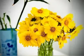 58岁男人的悔悟：年轻时有过婚外情，年老后受苦也只能往肚里咽图片