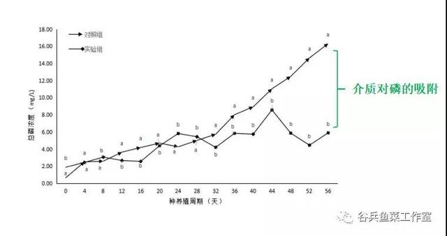 鱼菜共生植物缺素新认知 汇总