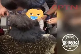 1岁孩子飞机上突然抽搐 家人手足无措 这时空姐出手了图片