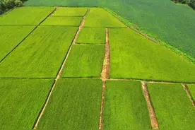 农民朋友注意：2021年9月1日起，不要在自家承包地上做这7件事图片