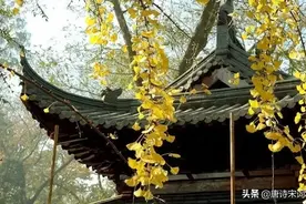 用诗词表达幸福，这是凡间最美的情话图片