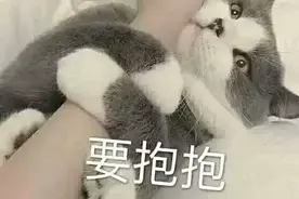 520的表情包已经为你准备好啦图片