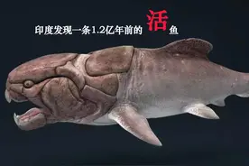 地球上的鱼是怎么来的？为何新池塘不放鱼苗，也会慢慢有鱼？图片