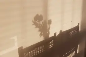 背影，是一种风景（太美了）图片