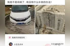 神评爆笑合集：开车不小心闯祸了，应该怎么补救？笑死我了，哈哈图片