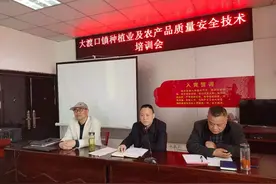 大渡口镇：“头雁”工程汇聚人才力量图片
