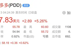 背后有5位大佬撑腰：拼多多图片