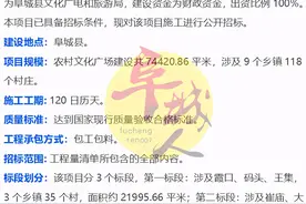 衡水118个村要建广场了！有你村吗？图片