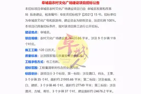 衡水118个村要建广场了！有你村吗？图片