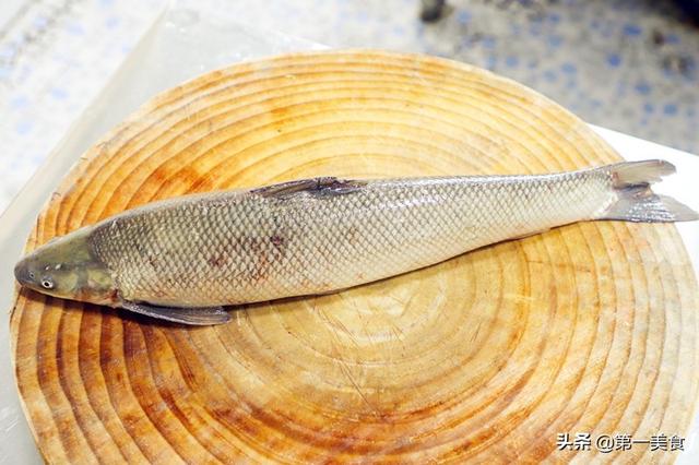 中华鲟怎么去鱼鳞