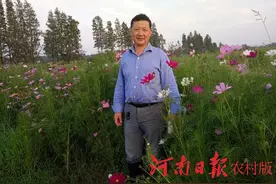 解甲归田后成为致富带头人——追记息县远古生态农业公司单玉河图片