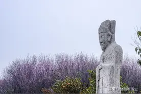 秦隐王朱尚炳：卫国公邓愈外孙，大明第一个以世子身份袭封的亲王图片