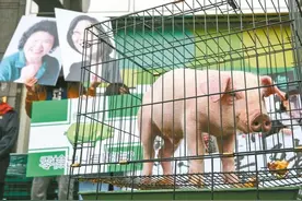 愚忠、无酬挺民进党的1450 还认得自己吗？图片