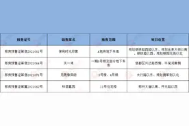 「预售证」邢台4张商品房预售证发放 这四个楼盘获证图片