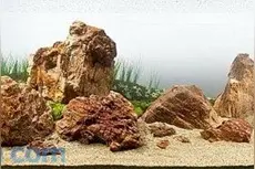 鱼缸造景之石头与草的摆放图片