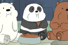 贴秋膘，中药求图片