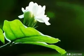 贵州美女考驾驶证，科目二挂9次让教练当一辈子司机图片