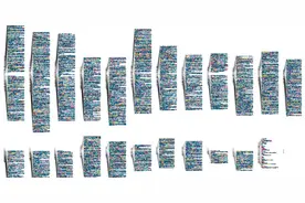 人火化后，DNA去了哪里？骨灰中能检测到DNA吗？图片