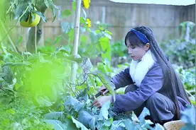 李子柒做烙锅和缙云烧饼，炖鸡汤、唱《消愁》，网友：向往的生活图片