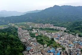 贵港这里藏着“广西盆景第一村”！年销售盘景8000多万元图片