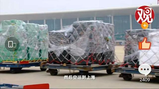 50元一斤！亏100多万也要种的“天价”葱，真的赚钱吗？