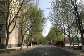 春色正浓，期待重逢！我在肥乡校园里等你呦！图片