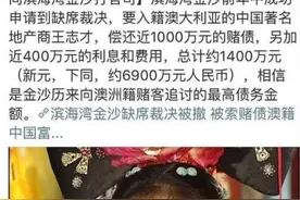 23嫁豪门，被继子扇耳光？负债7600万霸凌20年，晴格格究竟怎么了图片