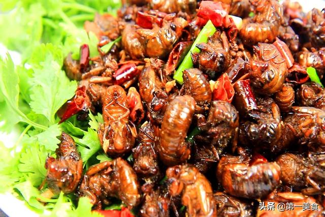 金蝉这样做、没有一点土腥味，一口一个、焦香酥脆比饭店的还好吃