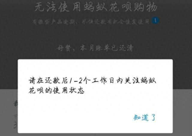 花呗逾期了被暂停使用图片安卓，花呗逾期了被暂停使用图片安卓怎么恢复 配图02