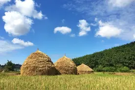 高考作文《父亲很土，却很快乐》，天然质朴，满分当之无愧图片