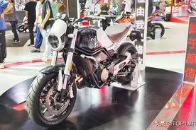 摩博会回顾丨QJMOTOR逸550上市 升级版的幼狮500图片