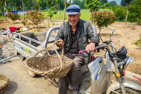 农村俗语：“坟前生洞子孙穷，坟后三物变富人”，分别指哪三物？图片