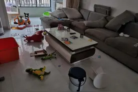 娶了个邋遢媳妇，32万装修的新房半年乱成狗窝，客厅不堪入目图片