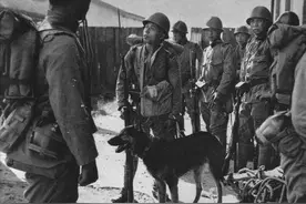 日军狼犬嗜血残暴，根据地“土狗”反杀，昌化犬咬喉一击毙命图片