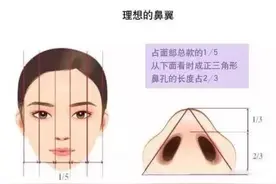 鼻翼缩小外切or内切图片