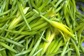 合阳：黄花菜种植技术图片