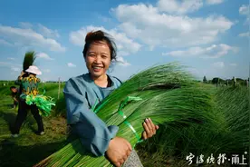 今天，中国农民丰收节！这组照片献给默默耕耘的农民朋友图片