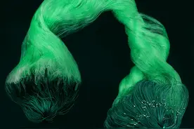 粘网捕鱼怎样下网图片