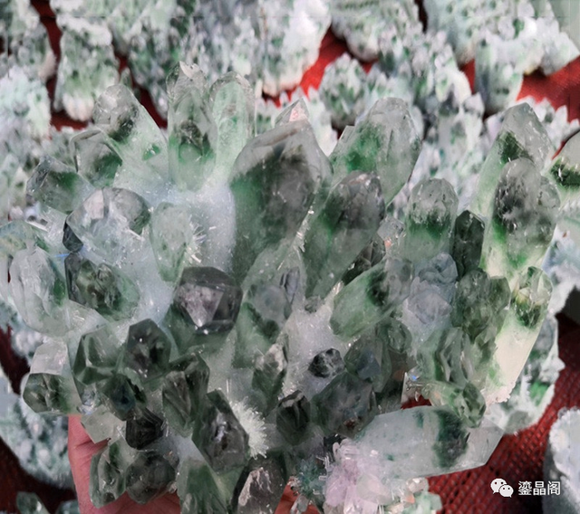 水晶七彩胶花能造假吗 2026年水晶七彩胶花能造假吗图片