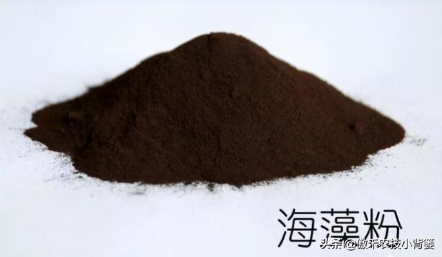 腐植酸、氨基酸、海藻酸、鱼蛋白，都是啥肥料？都有啥作用？
