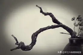 守住清贫，守住底线图片