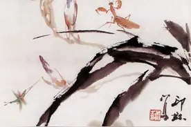 萧朗教你画花卉——鸢尾花画法图片