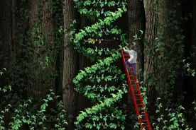 为何同性恋在动物和人类中如此普遍，始终没有被进化淘汰？图片