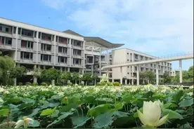 在广州，考上一所高中有多难？图片