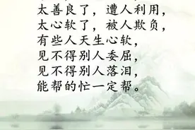 致那些把我当傻子的人图片