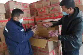 米东区：新品种红瑶红薯试种初见成效 农户储薯促增收图片