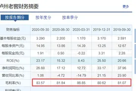 泸州老窖浅析图片