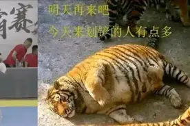 假大师，与抖音上的“打假”大师图片